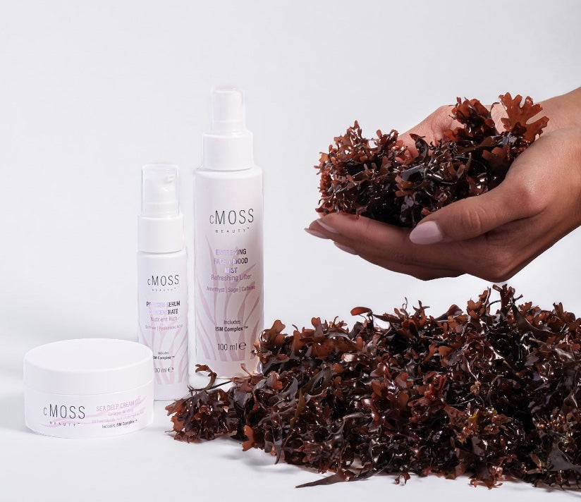 Skincare Routine Tips with Irish Sea Moss