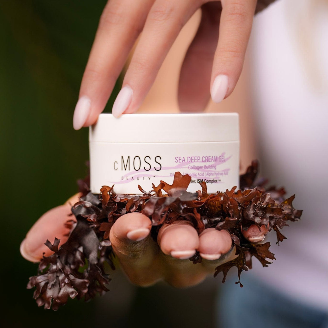 cmoss sea deep cream gel over bed of irish sea moss